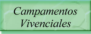 Campamentos Vivenciales